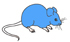 blue mouse picture